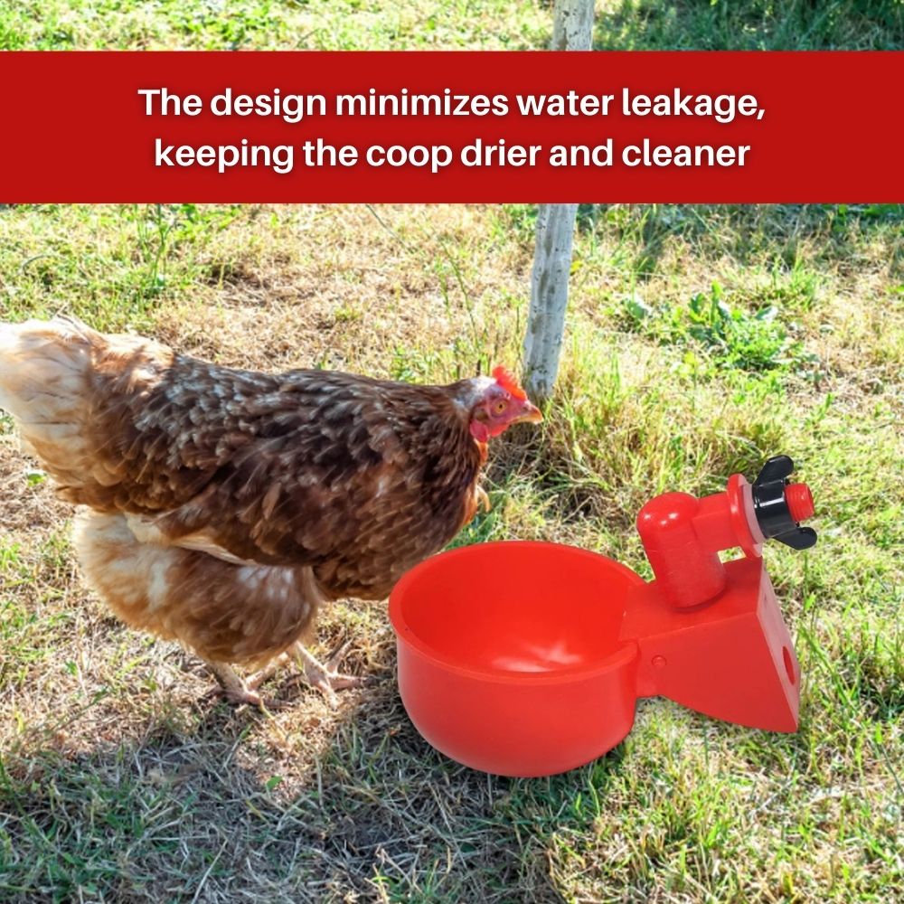 EverSpring™ Automatic Chicken Water System